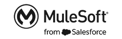 muleSoft muleSoft